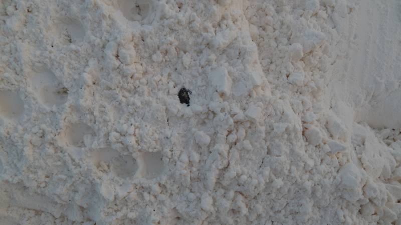 Marine Cargo Damage Surveyor Marseille – Independent Survey Report