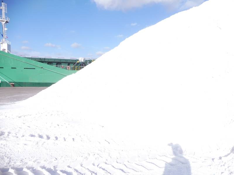 Marine Cargo Damage Surveyor Marseille – Independent Survey Report